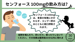 センフォース 100mgは、食事の有無にかかわらず、コップ一杯の水とともに経口摂取されます。