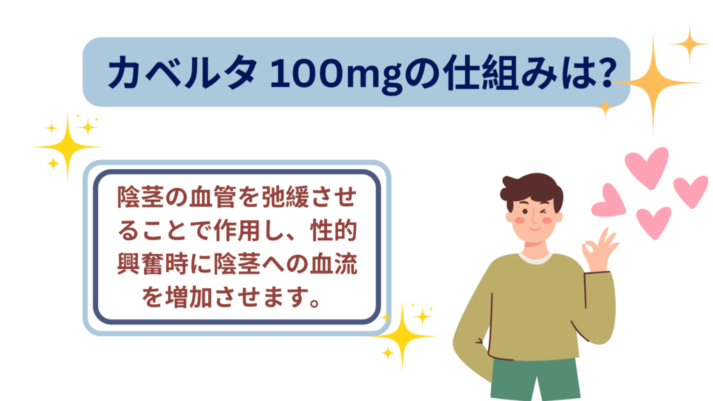 クエン酸シルデナフィル Ach リーフレット