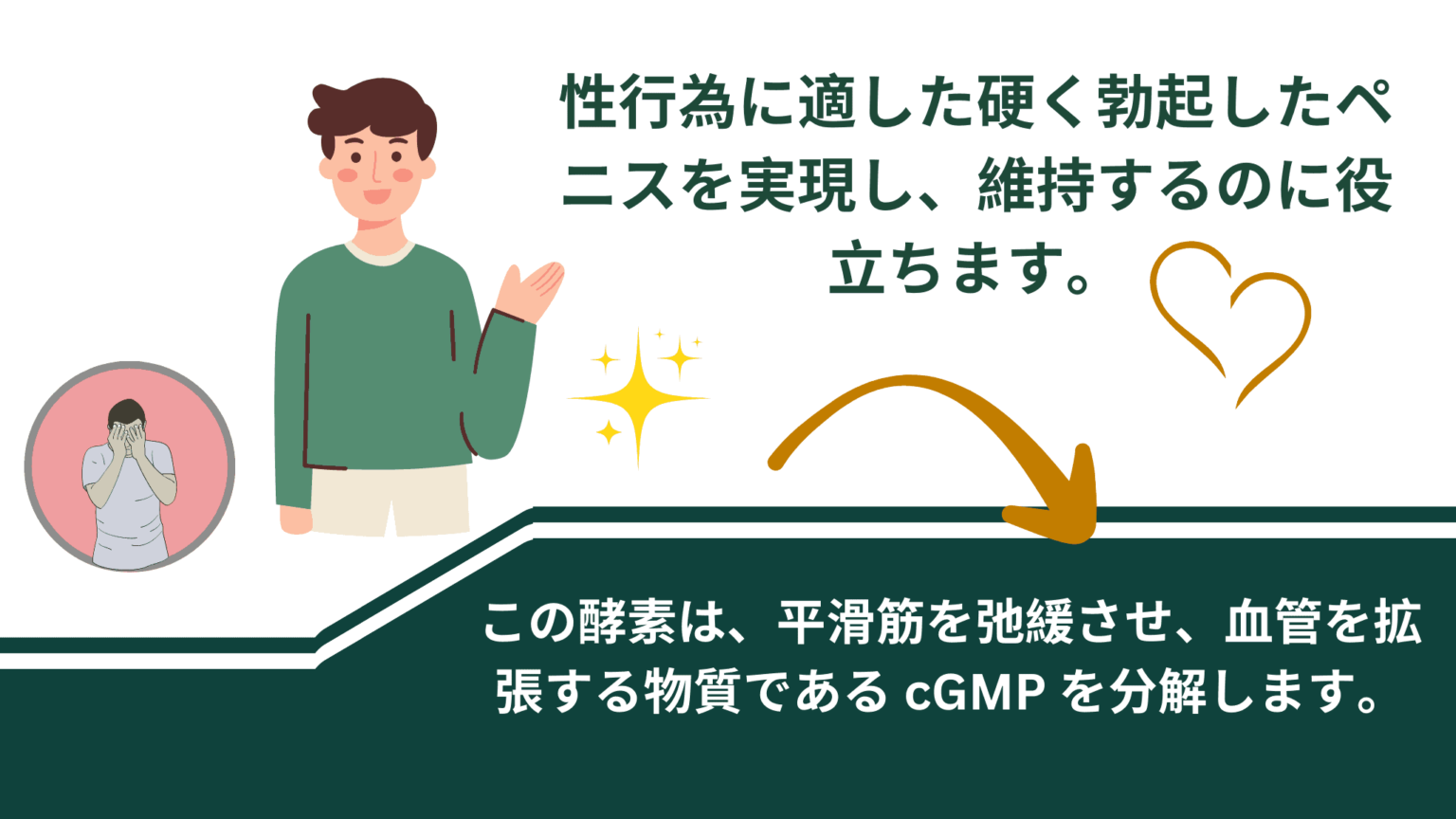 クエン酸シルデナフィル ユーロファームのリーフレット